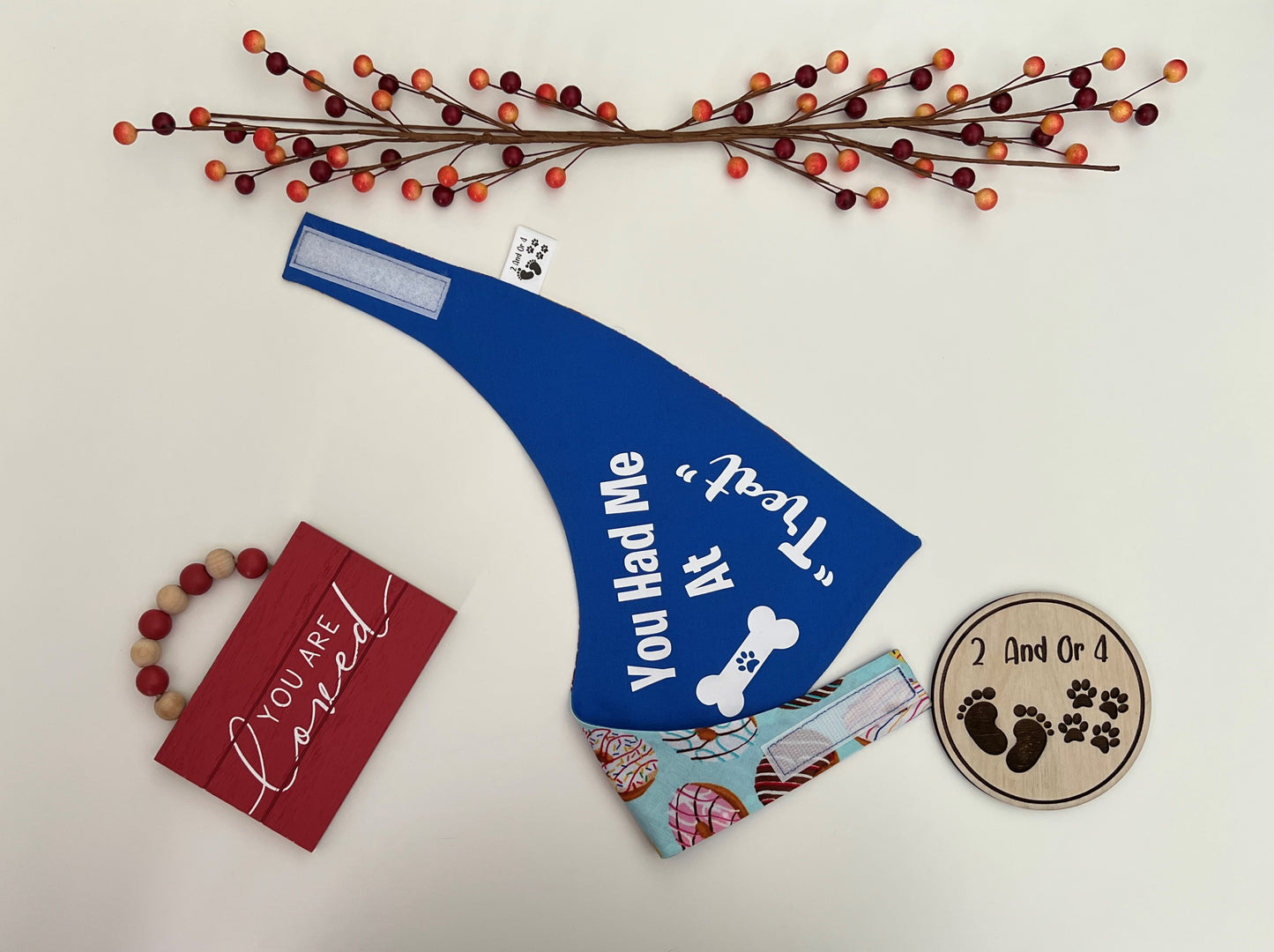 Donut Float - You Had Me-Blue - Reversible Pet Bandana