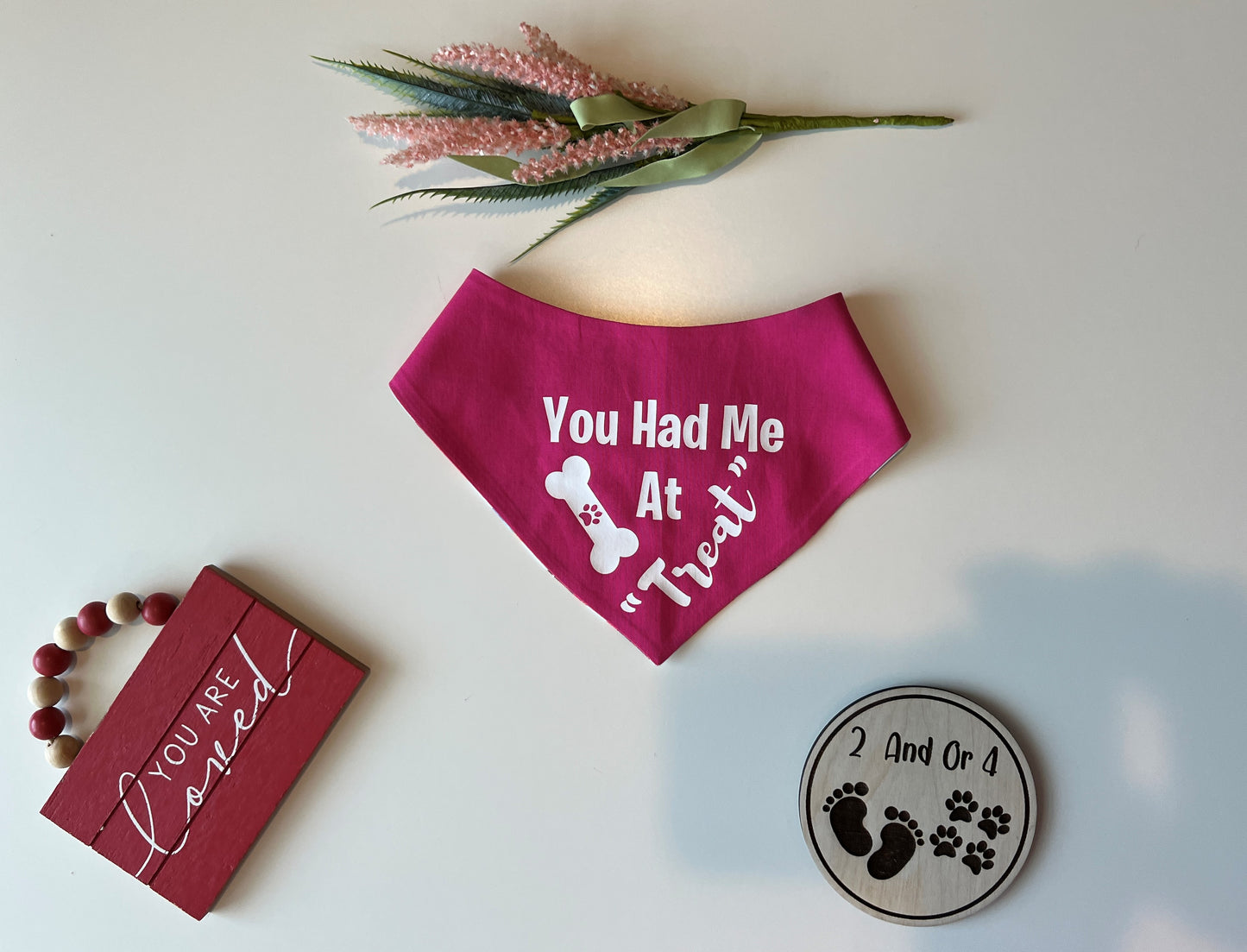 Donut Float - You Had Me-Pink - Reversible Pet Bandana