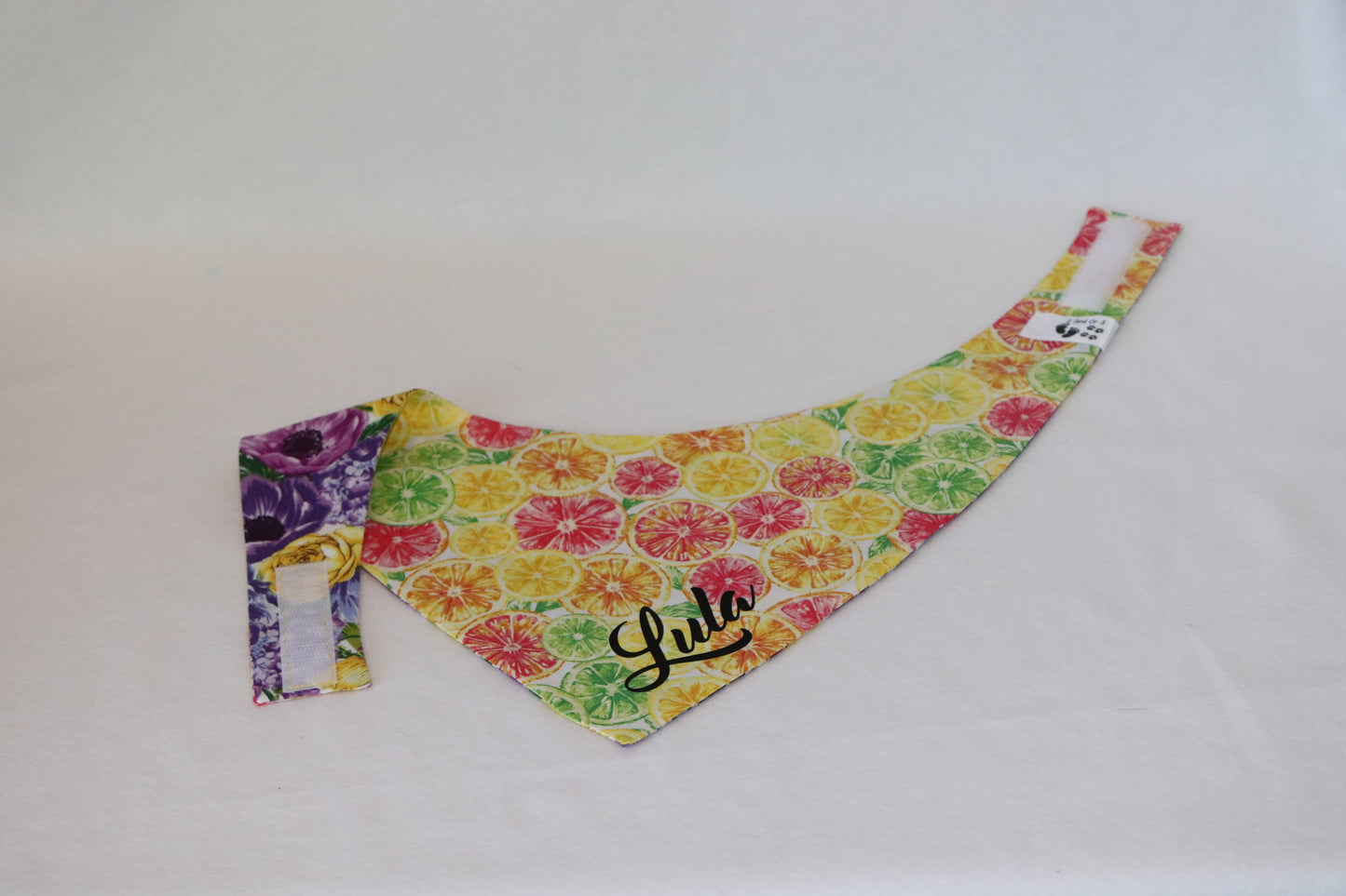 Lemon, Lime, Orange Slices - Flowers - Reversible Pet Bandana