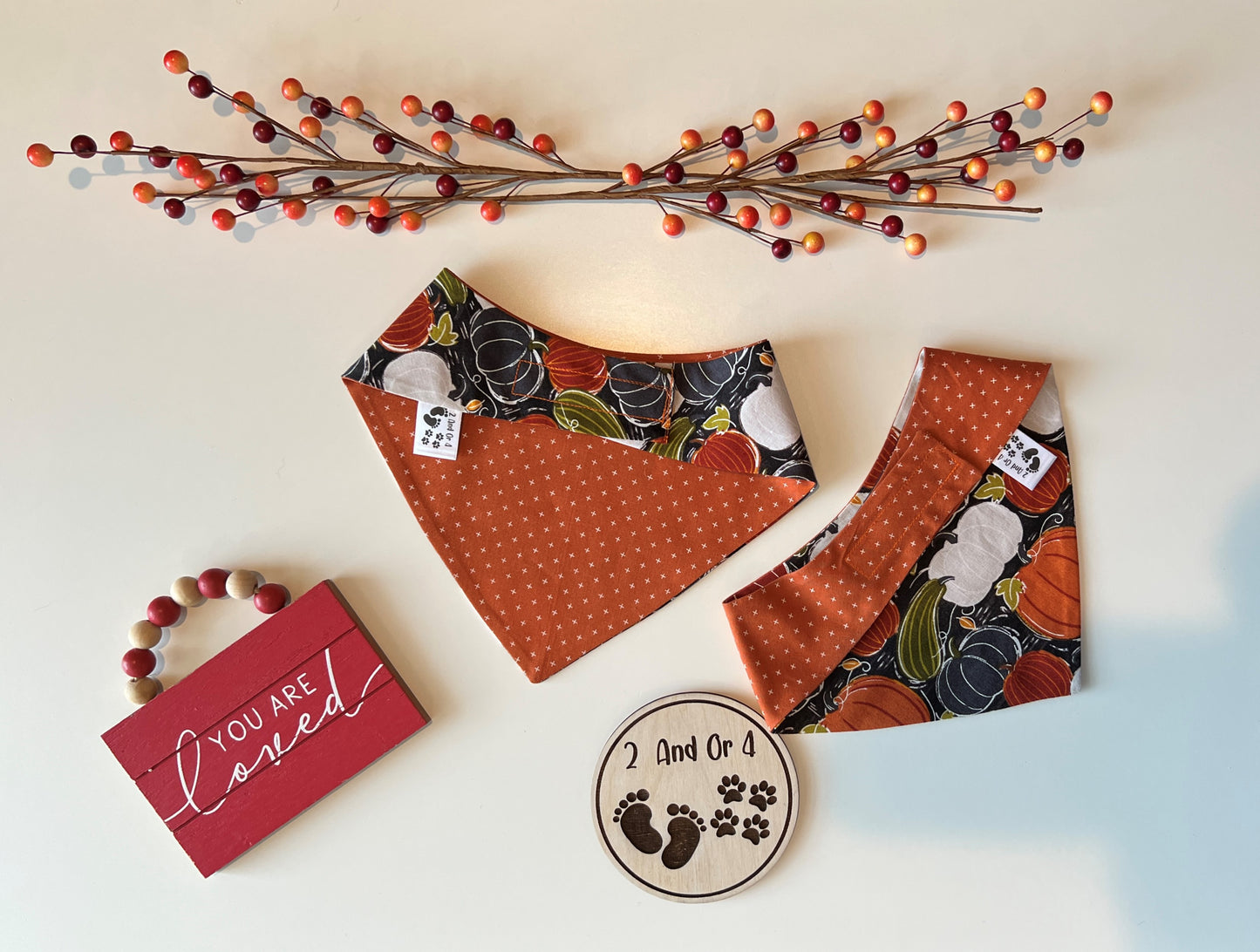 Pumpkins - X's - Reversible Pet Bandana