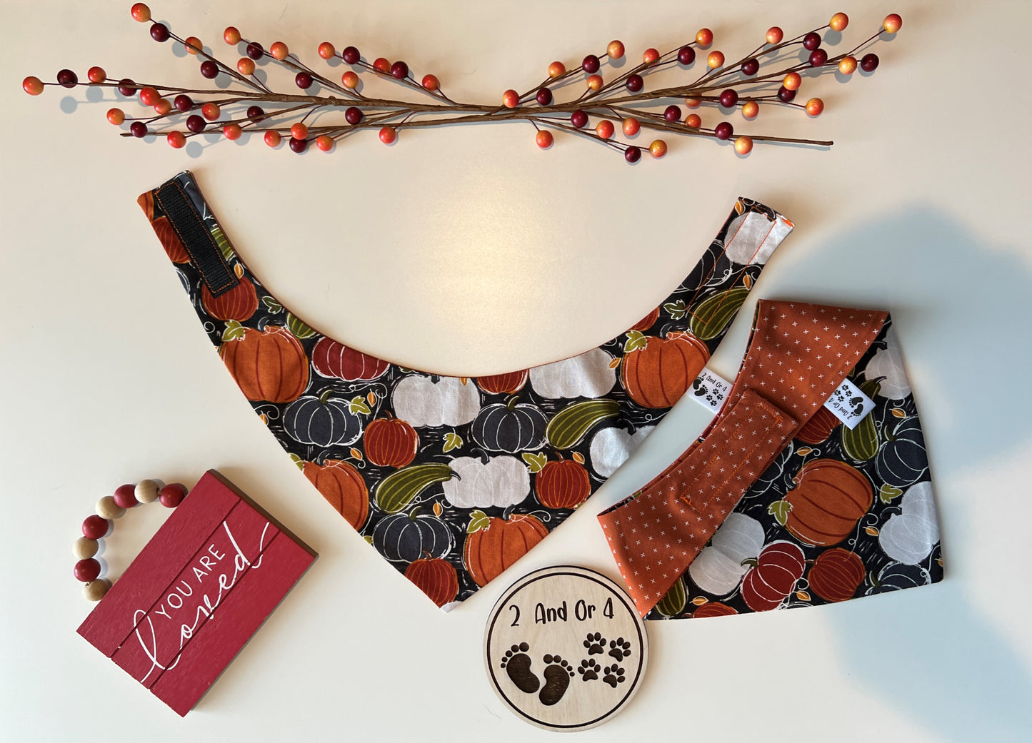 Pumpkins - X's - Reversible Pet Bandana