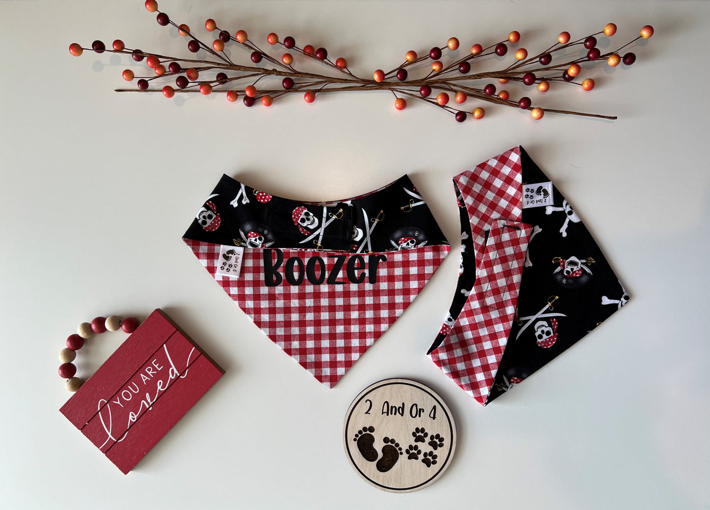 Skulls & Bones - Red Checks - Reversible Pet Bandana