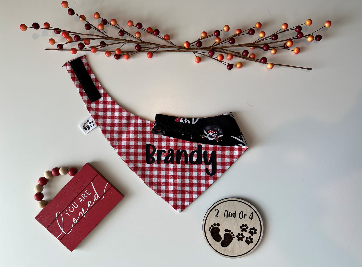 Skulls & Bones - Red Checks - Reversible Pet Bandana