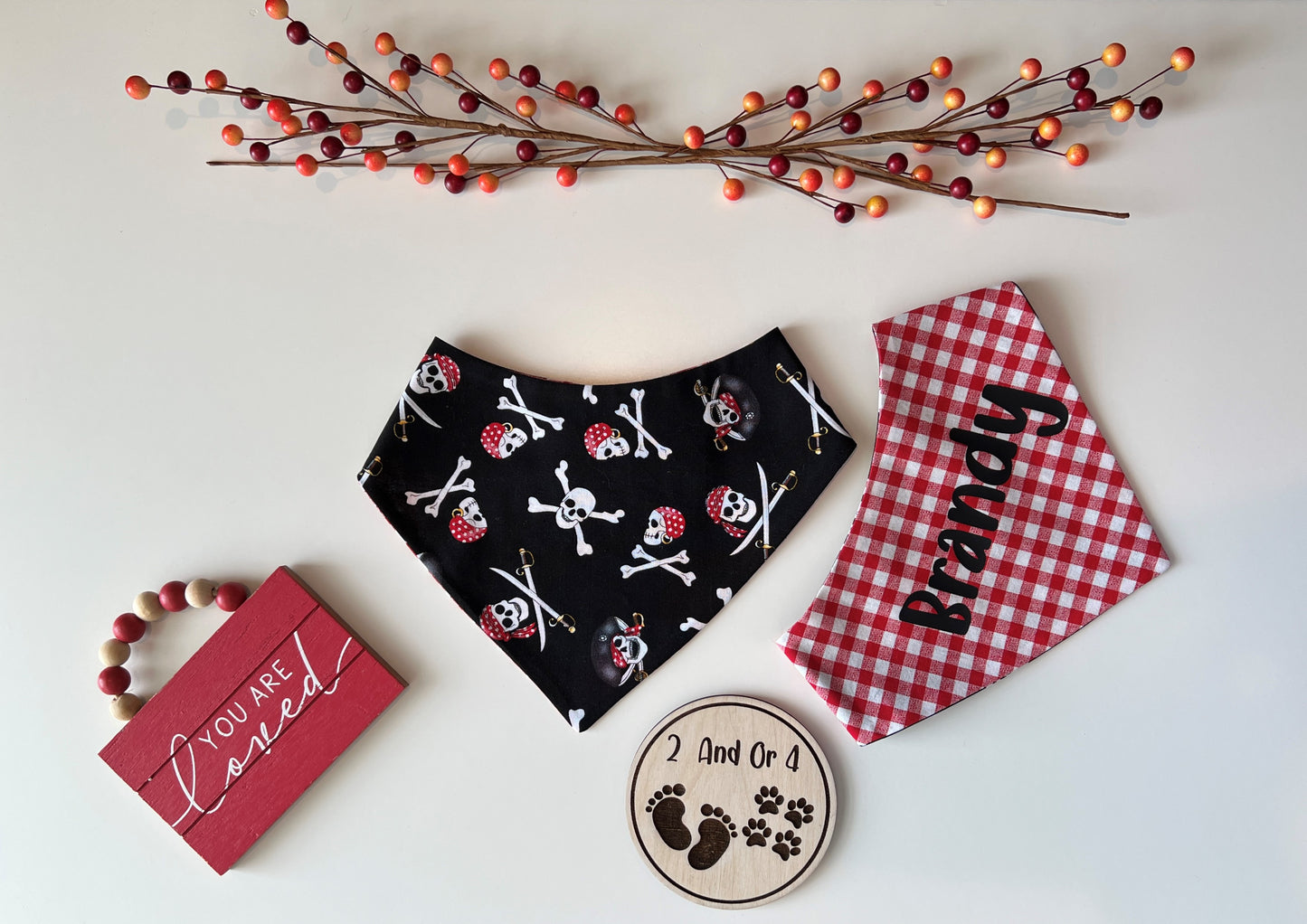 Skulls & Bones - Red Checks - Reversible Pet Bandana