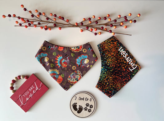 Turkeys - Paint Splatter - Reversible Pet Bandana