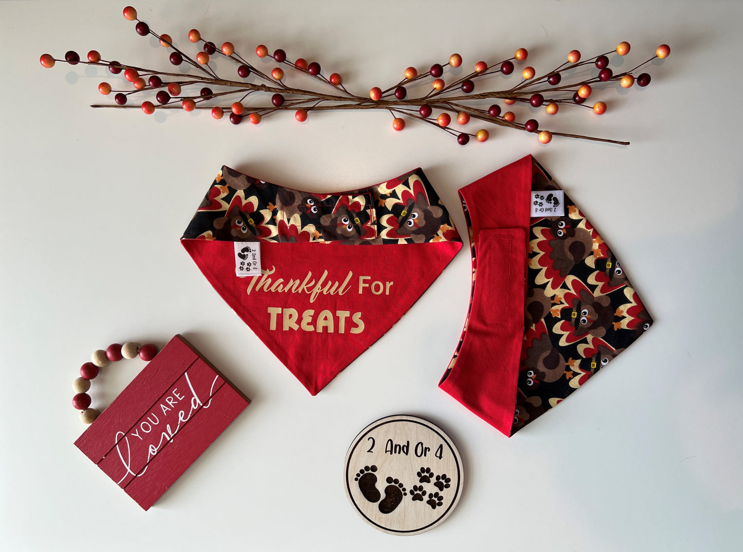 Turkeys - Thankful For Treats - Reversible Pet Bandana